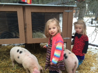 wendt-4h-piglets-owners-f05012187206e55e4a9a64ff3f07ab7ee4e86b09