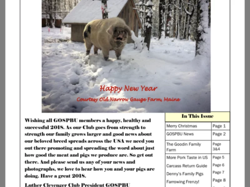 Front Page December